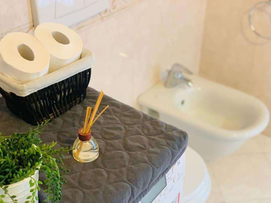 Апартаменты Benvenuti In Casa Peluca! Местре Экстерьер фото
